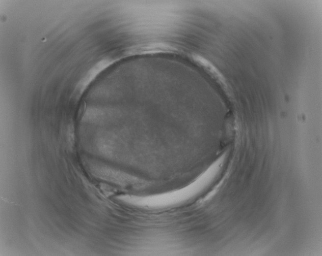 X0000078301457200611251456