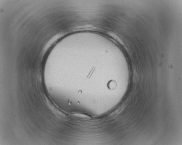 X0000078301458200611251456