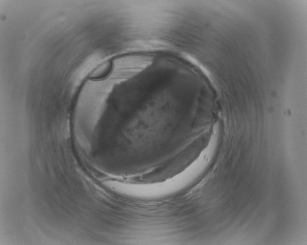 X0000078301459200611251456