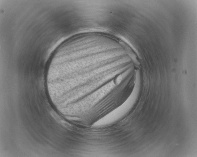 X0000078301460200611251456