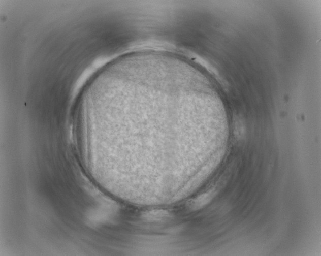 X0000078301462200611251456