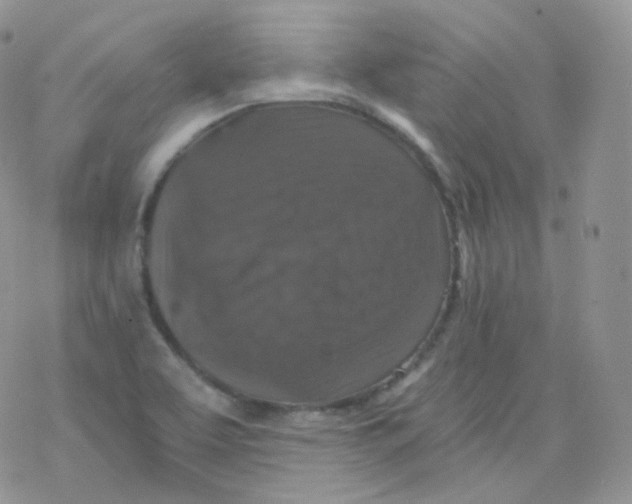 X0000078301463200611251456