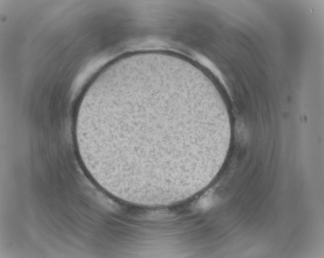 X0000078301464200611251456