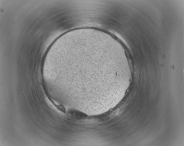 X0000078301468200611251456