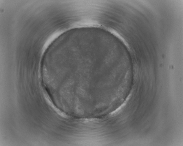 X0000078301469200611251456