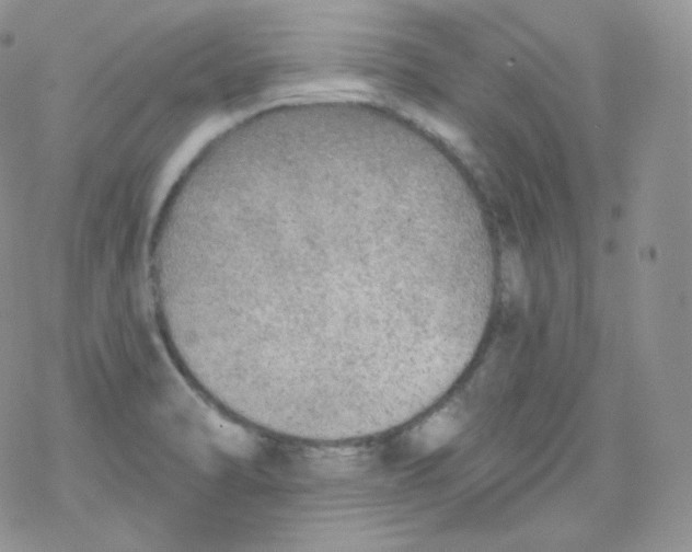 X0000078301470200611251456