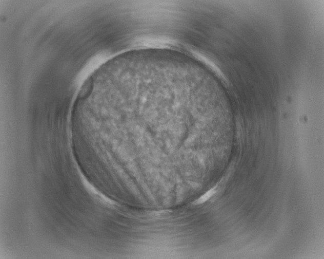 X0000078301471200611251456