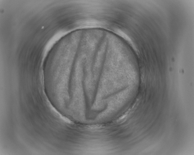 X0000078301472200611251456