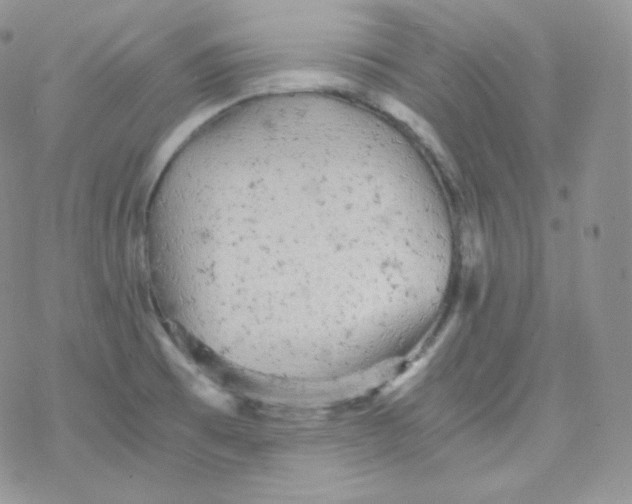 X0000078301473200611251456