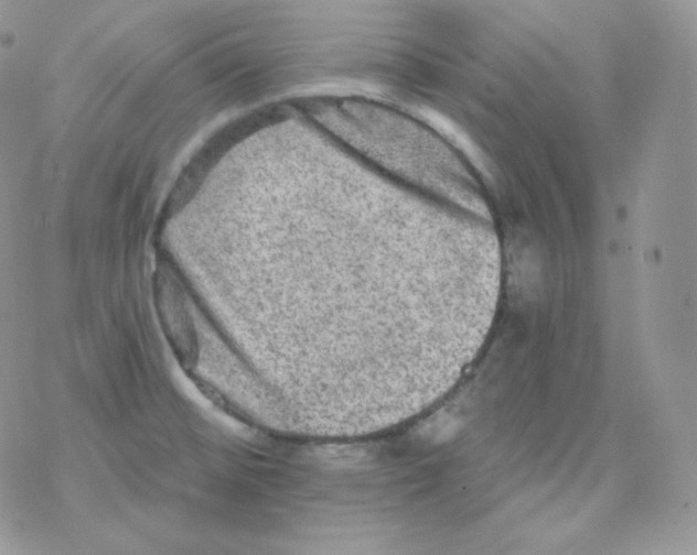 X0000078301476200611251456