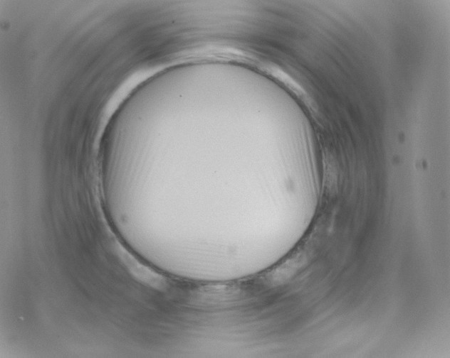 X0000078301478200611251456