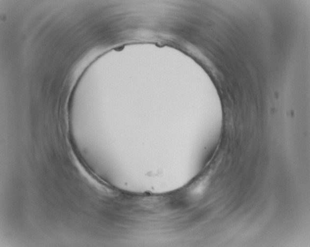 X0000078301479200611251456