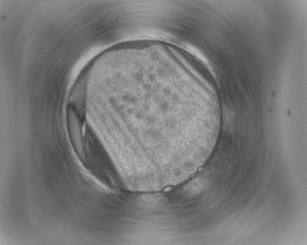 X0000078301480200611251456