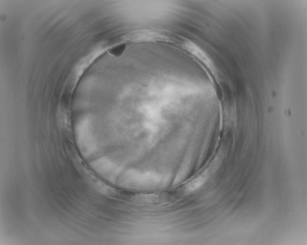 X0000078301481200611251456