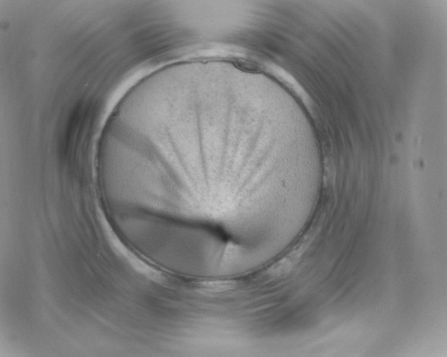 X0000078301483200611251456