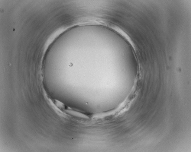 X0000078301485200611251456