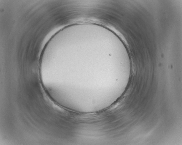 X0000078301486200611251456