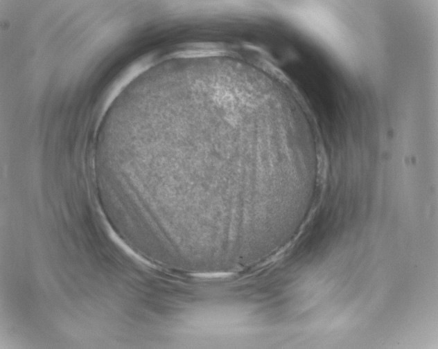 X0000078301487200611251456