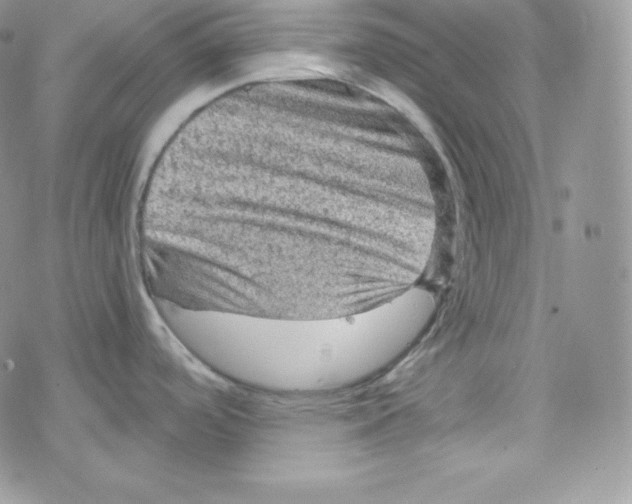 X0000078301488200611251456