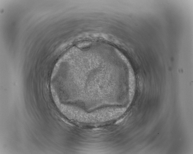 X0000078301489200611251455