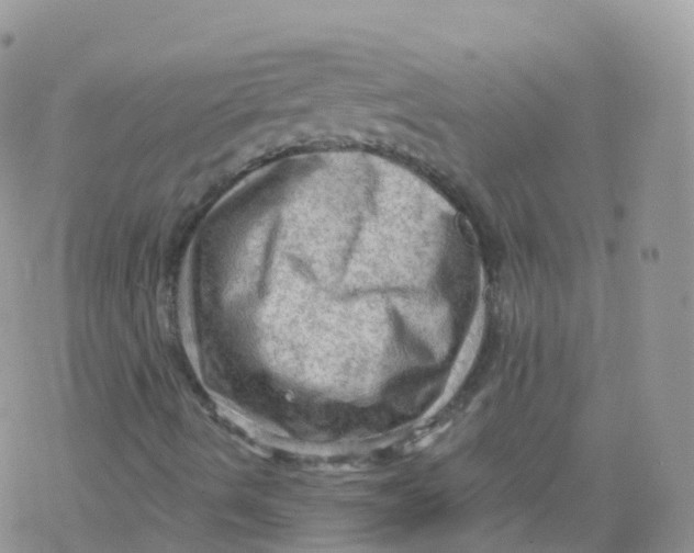 X0000078301490200611251455