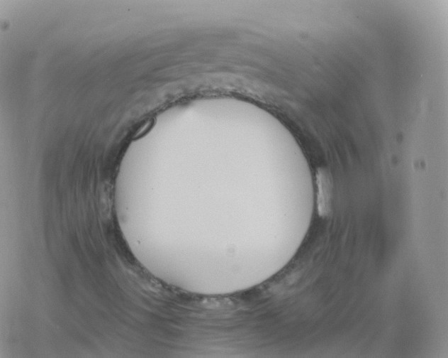 X0000078301491200611251455