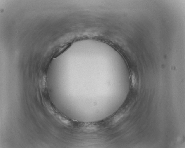 X0000078301492200611251455