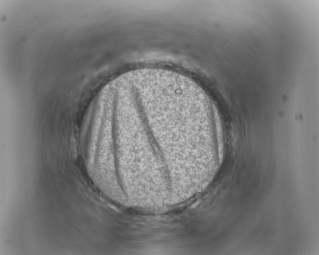 X0000078301493200611251455