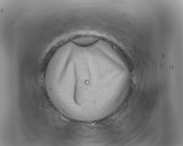 X0000078301495200611251455