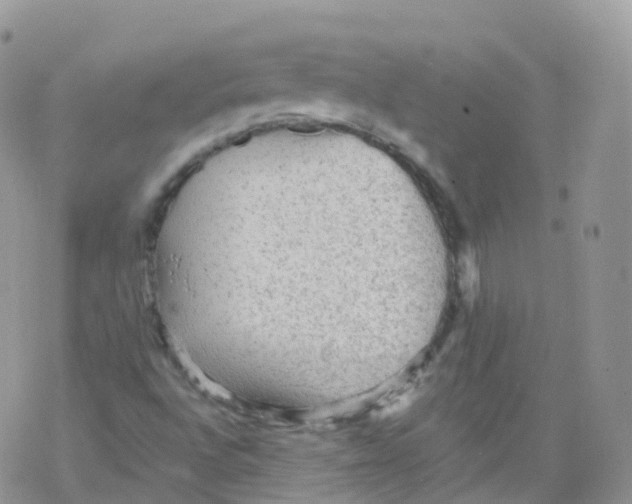 X0000078301496200611251455