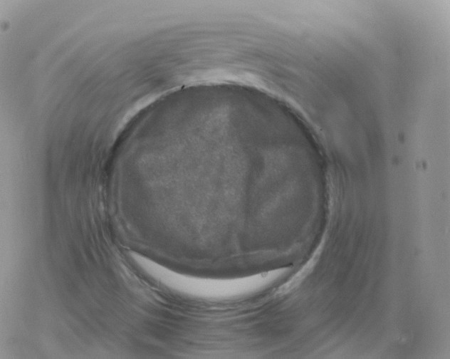 X0000078301497200611251455