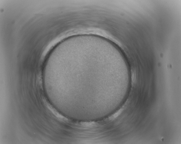 X0000078301498200611251455