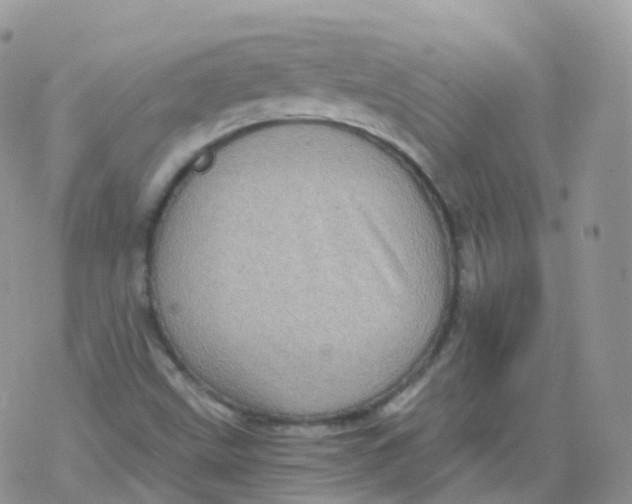 X0000078301499200611251455