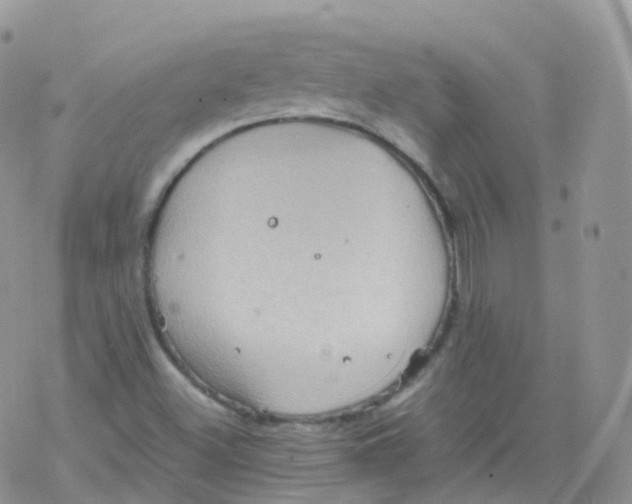 X0000078301500200611251455