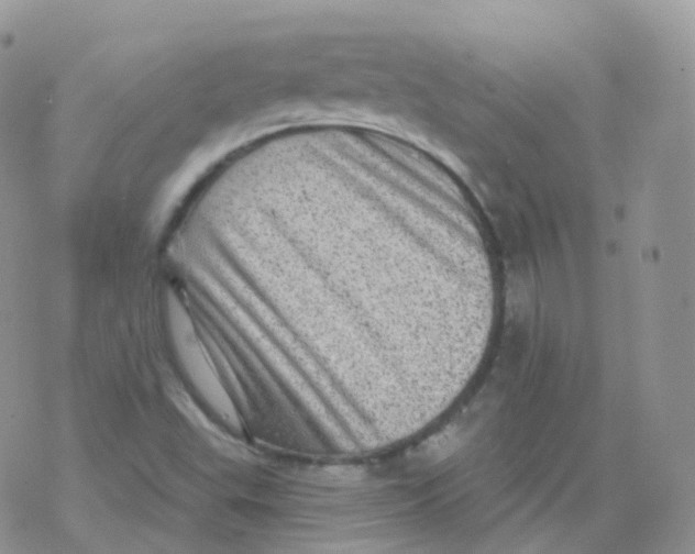 X0000078301503200611251455