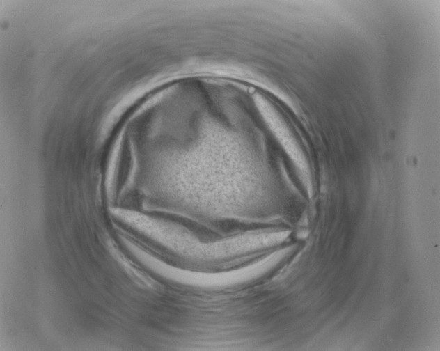 X0000078301507200611251455