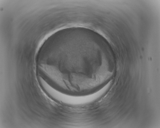 X0000078301508200611251455