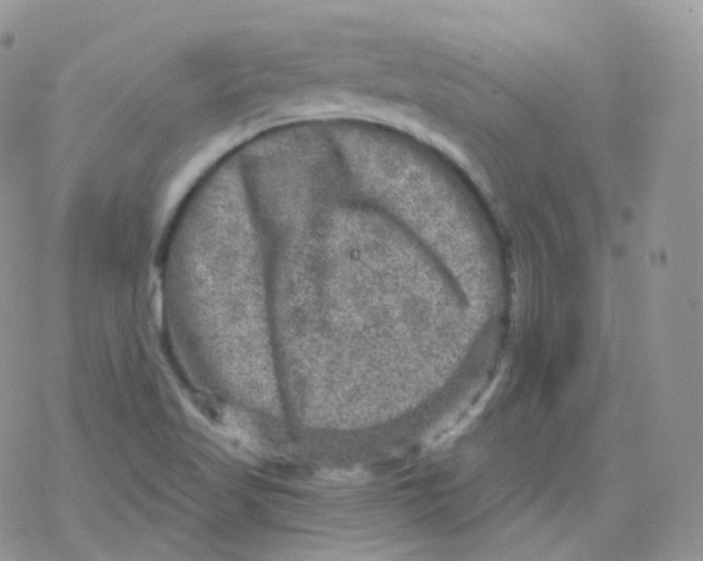 X0000078301509200611251455