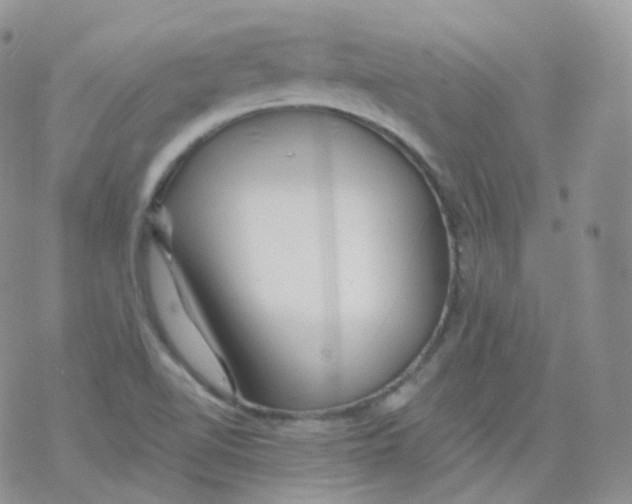 X0000078301510200611251455