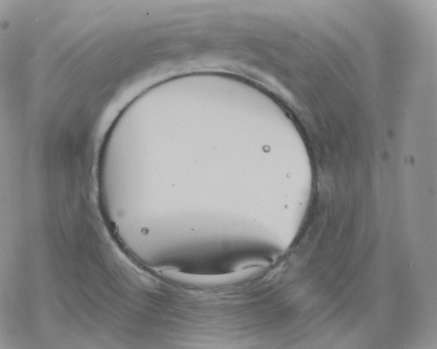 X0000078301512200611251455