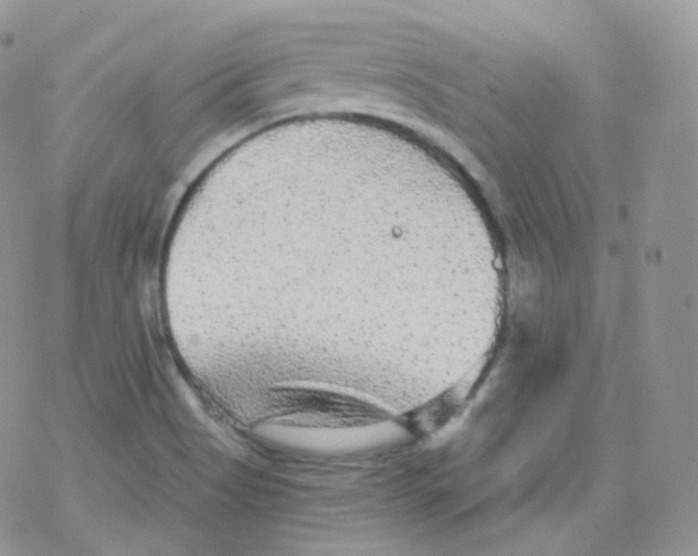 X0000078301513200611251455