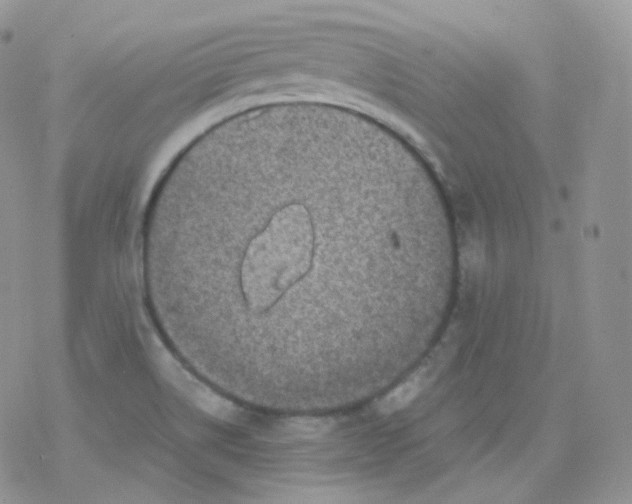 X0000078301514200611251456