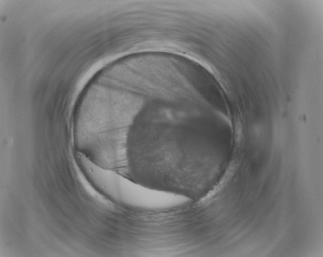 X0000078301515200611251456