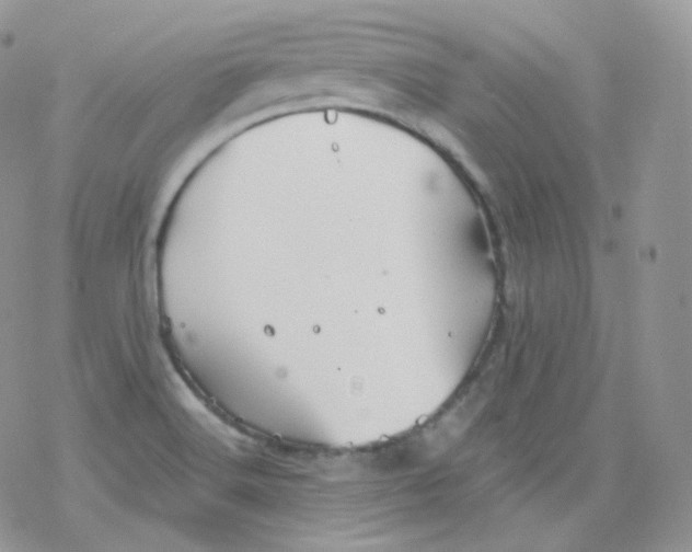 X0000078301516200611251456