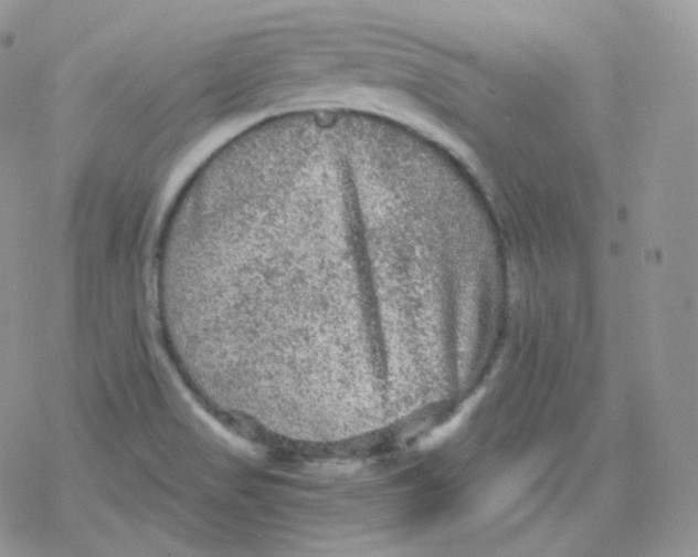 X0000078301517200611251456