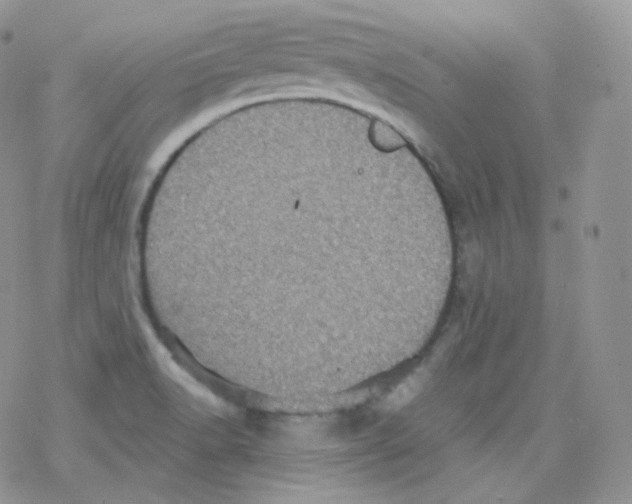 X0000078301518200611251456