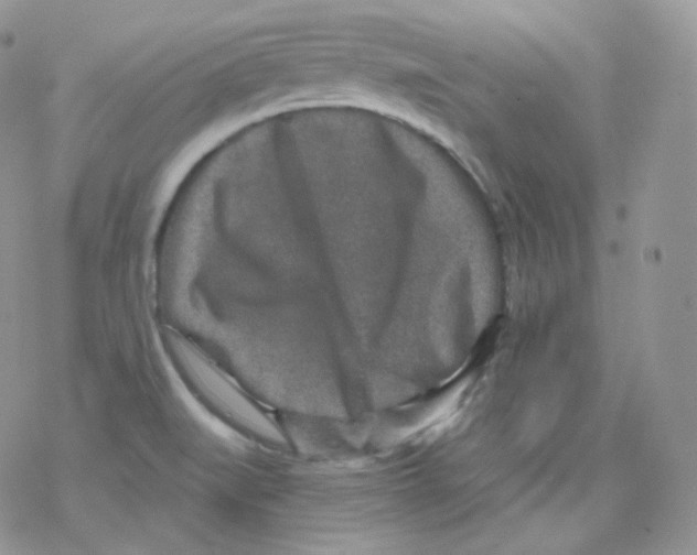 X0000078301519200611251456