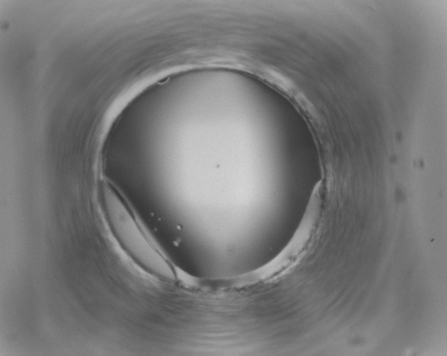 X0000078301520200611251456