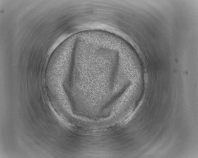 X0000078301521200611251456