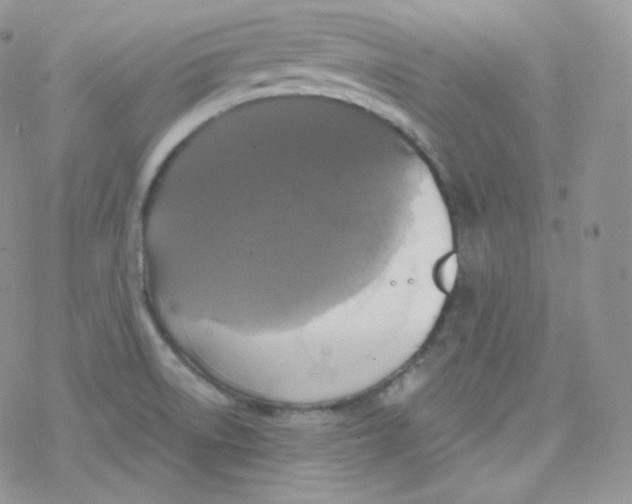 X0000078301522200611251456